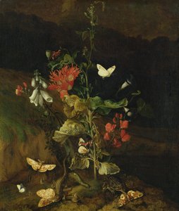 Bloemenstudie